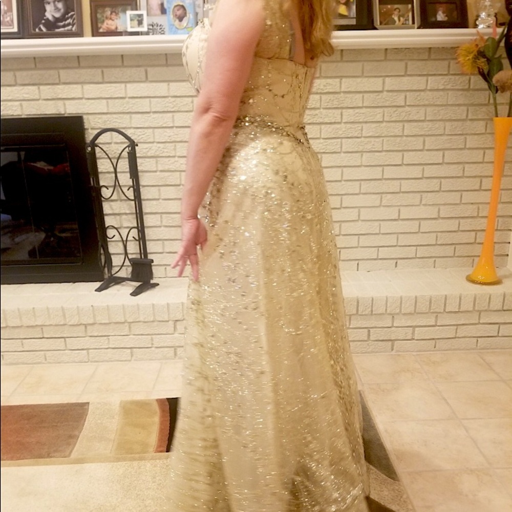 Gorgeous elegant dress !!!